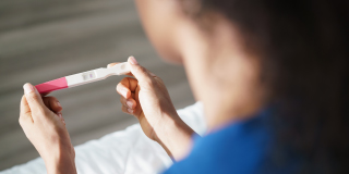 Conception - Pregnancy - Negative Pregnancy Test
