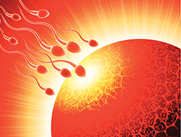 Pregnancy - Fertility - IVF - Sperm Donation