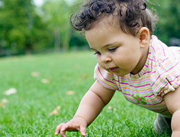 parents - kids - gardening - outdoor