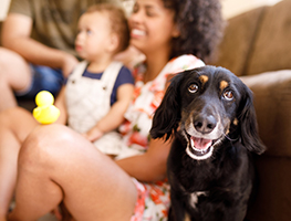 parents - kids - animals - dogs
