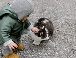 parents - kids - animals - cats