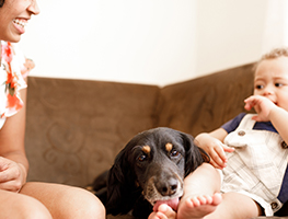 parents - kids - animals - dog bite prevention