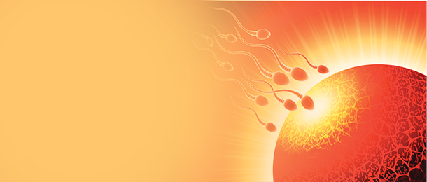 Pregnancy - Fertility - IVF - Sperm Donation