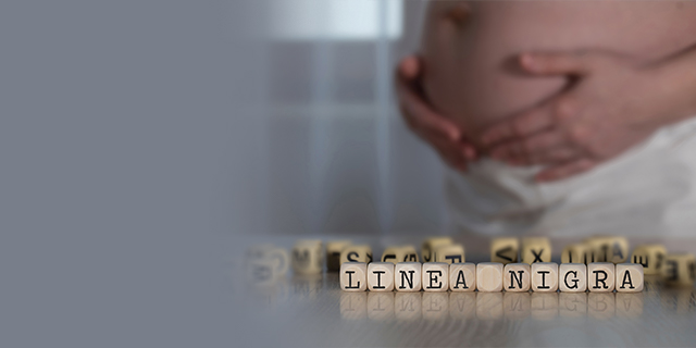 Pregnancy - Pregnancy Care - Linea Nigra