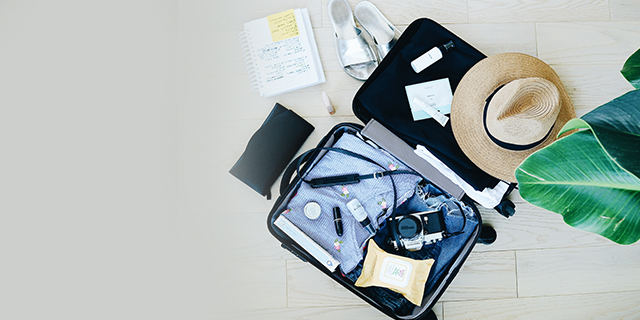 Pregnancy - Pregnancy Care - Travel