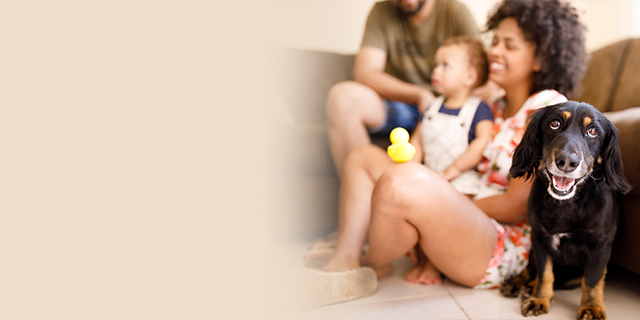 parents - kids - animals - dogs