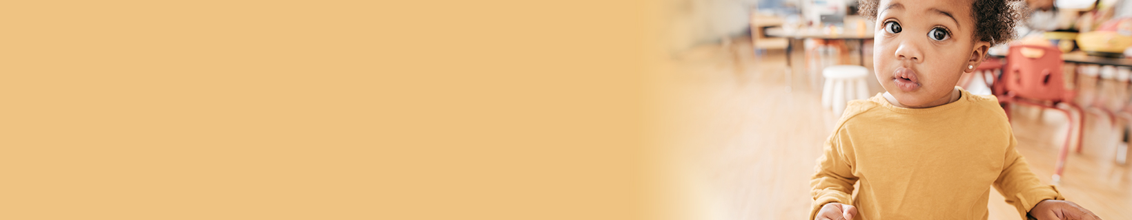 Toddler - Toilet training - child care