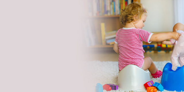 Toddler - Toilet training - potty train