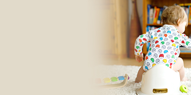 Toddler - Toilet training - potty
