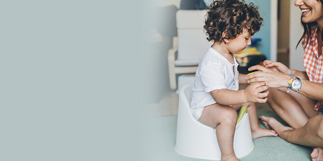 toddler - development - toilet training